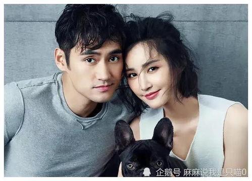 娱乐圈吃瓜爆料三字明星,揭秘明星背后的故事